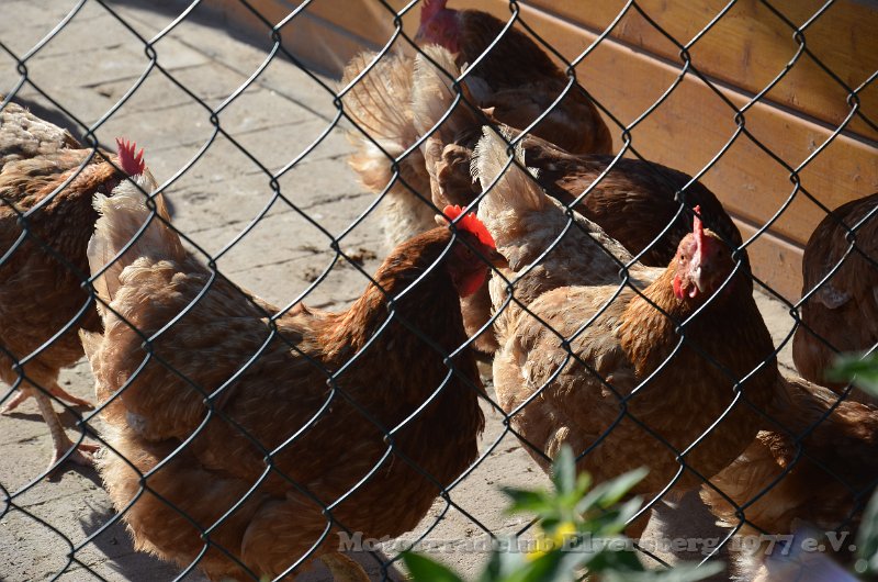 Schwarzwald 2021 - 042